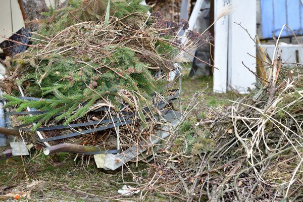 Yard Debris Removal in Columbia