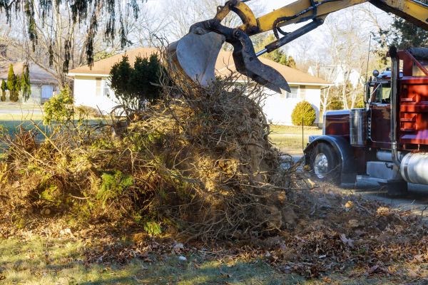 Storm Debris Removal in Columbia