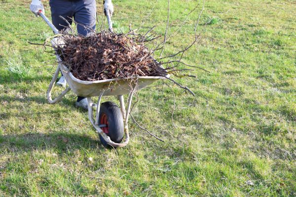 Yard Brush Removal in Columbia