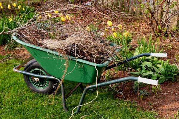 Lawn Waste Removal in Columbia