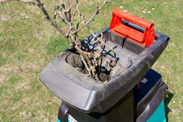 Brush Cleanup Service in Columbia