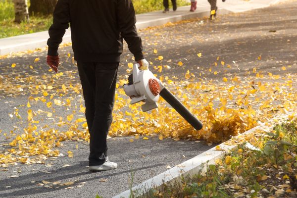 Commercial Leaf Removal in Columbia
